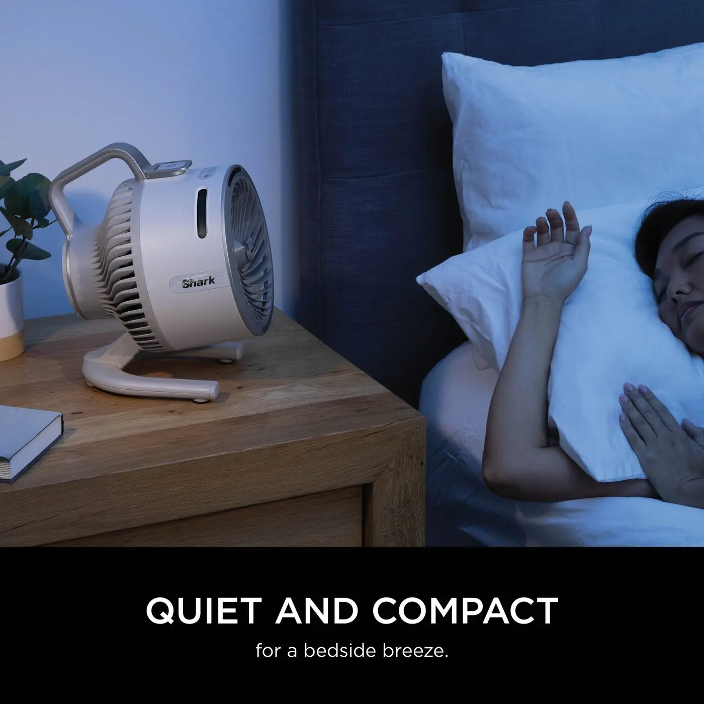 FlexBreeze HydroGo Mist Fan, Cordless/Corded, Indoor/Outdoor, Quiet, 20m Airflow, Portable
